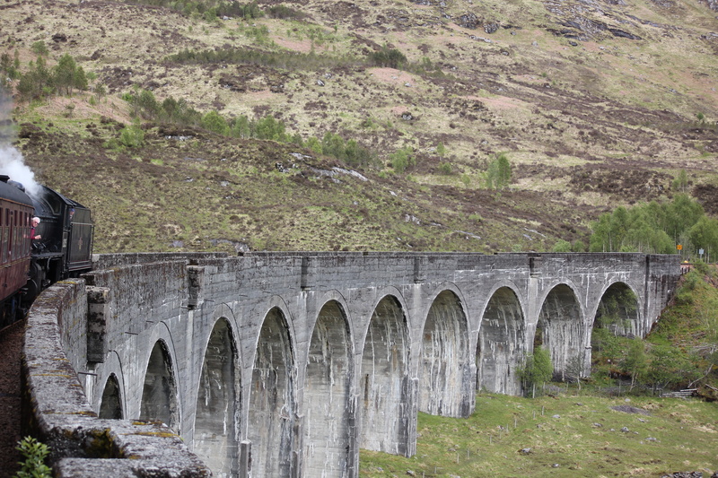 hogwarts express, transportation, environment, nature, steam train, connection, tree, bridge - man made structure, day, arched, no people, water, outdoors