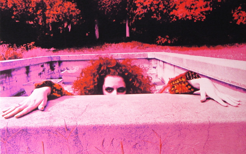 shirtless, young adult, looking at camera, 1080P, adult, portrait, nature, lying down, day, Frank Zappa, women, young women, Hot Rats (album), plant, young men