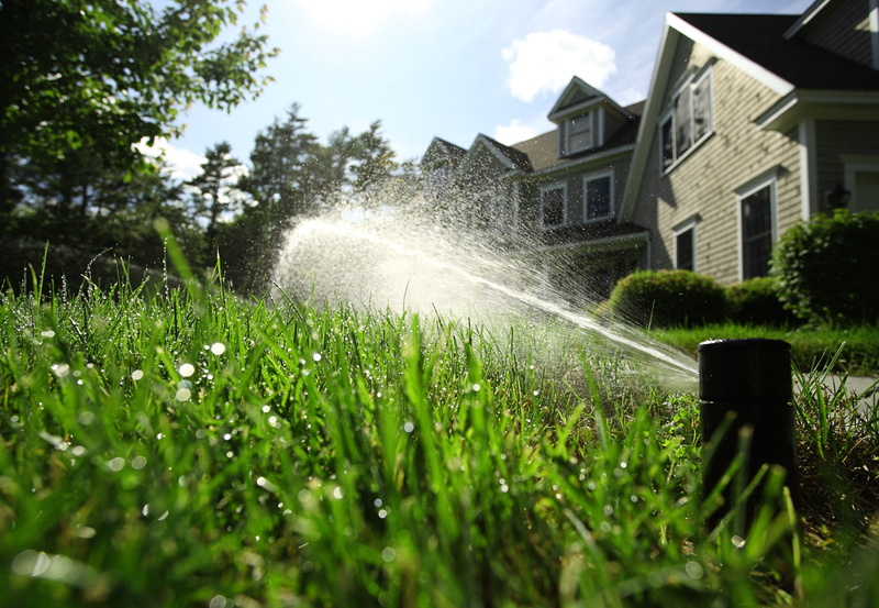 no people, plant, green color, water, flowing water, growth, day, built structure, irrigation, grass, stream, 4K, scarborough, yard, hose, watering, sprinkler