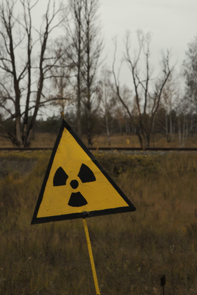 road sign, savanna, triangle, sign, communication, yellow, deer, outdoors, contaminated, warning symbol, biohazard, warning sign, shape, ground, no people