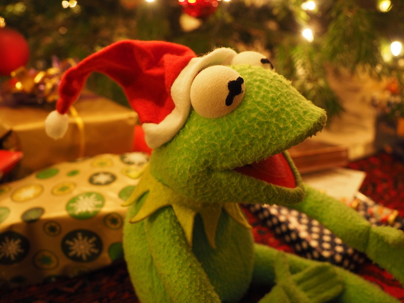 funny, christmas frog, christmas decoration, indoors, teddy bear, toy, softness, christmas tree, focus on foreground, kermit, frog, christmas, stuffed toy