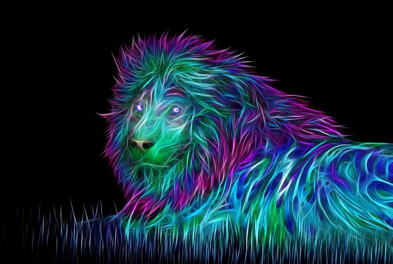 studio shot, art, 720P, hairstyle, night, bird, blue, lion, no people, black Background, green color, light - natural phenomenon, indoors, animal, computer Graphic