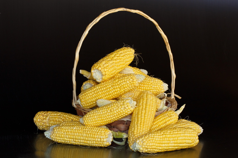 snack, vegetarian food, corns, corn - crop, agriculture, corn on the cob, yellow, food, studio shot, healthy eating, corn, farm, black background, farm produce