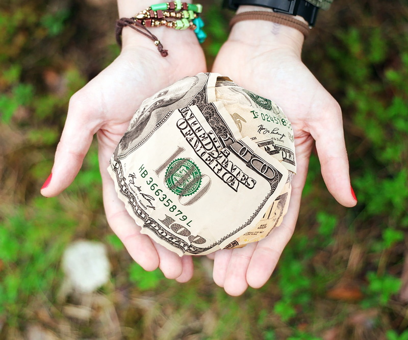 nature, hand, volunteer, giving, aiding, plant, donation, paper currency, give, bankntoes, one person, 1080P, charity, foundation, assistance, finance