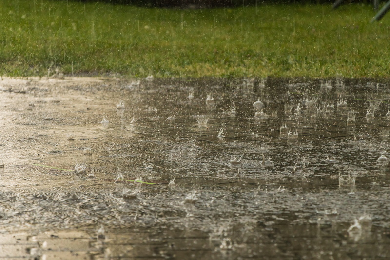 storm, close-up, mud, cloudburst, wet, grass, 5K, motion, heavy rain, reflection, backgrounds, rain, raindrop, water, day, outdoors, textured, plant, land