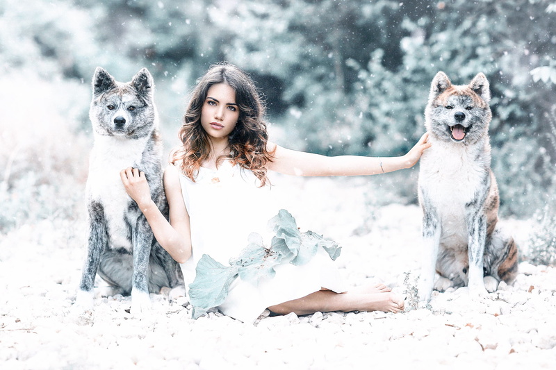 1080P, girl, Protected by the wolves, dogs, Alessandro Di Cicco