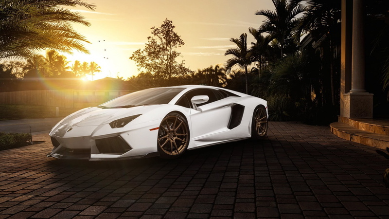 wealth, transportation, tree, tropical climate, no people, motor vehicle, luxury, white, aventador, street, 1080P, lamborghini, palm tree, outdoors, Lamborghini Aventador