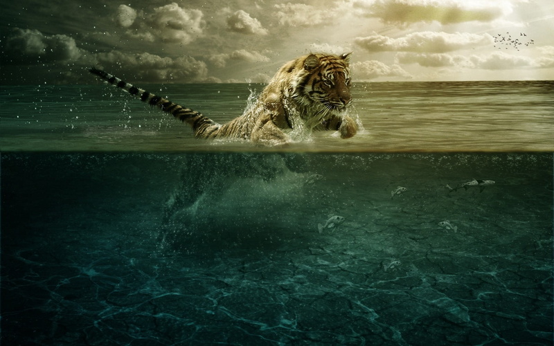 motion, animal, sky, one animal, outdoors, extinct, underwater, splashing, bengal, horizon, mammal, waterfront, jump, danger, tiger, mouth open, animal wildlife
