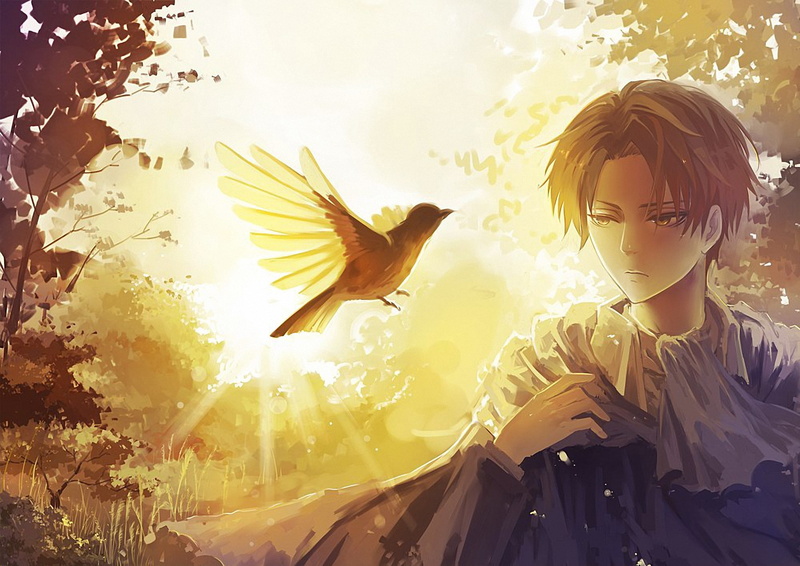 Anime, Bird, 2K, Attack On Titan, Levi Ackerman