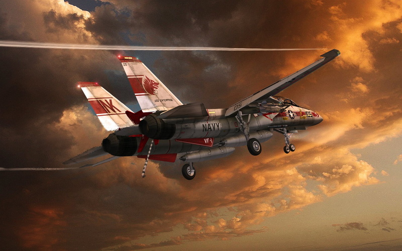 Grumman F-14 Tomcat, 1080P, Jet Fighters