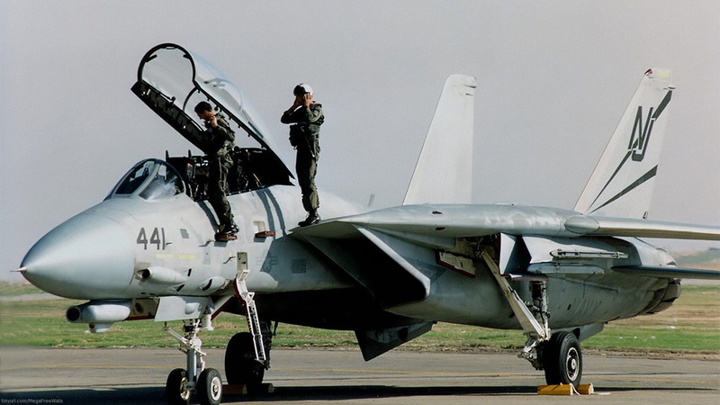grumman f 14 tomcat, 1080P