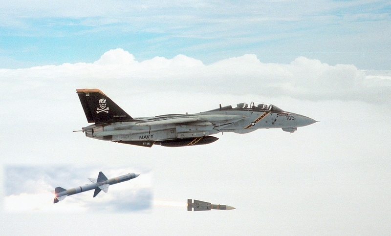 1080P, black, gray, Jet Fighters, jet, navy, pirate, Grumman F-14 Tomcat