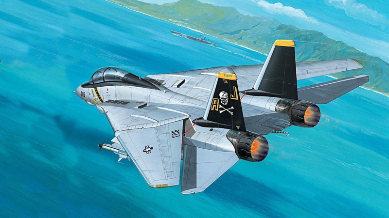 1080P, Grumman F-14 Tomcat, Jet Fighters