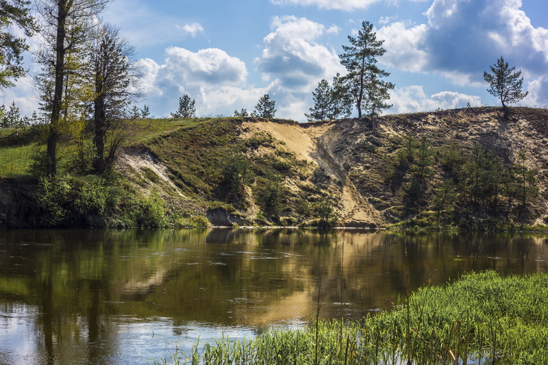 green color, trees, landscape, tree, day, plant, beauty in nature, growth, cloud - sky, journey, land, no people, sky, ukraine, sun, scenics - nature, non-urban scene