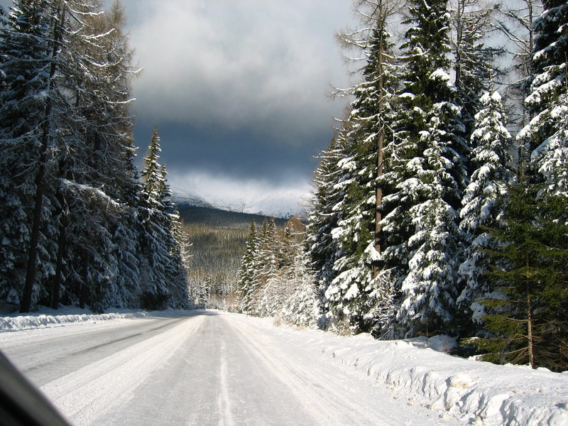 Landscape, sky, snow, nature, cloud - sky, Efi, beauty in nature, cold temperature, Road, Mountains, pine tree, tree, transportation, 1080P, pass, outdoors
