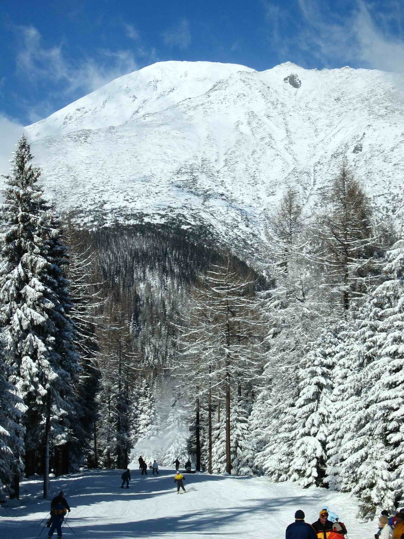 winter sport, winter, tree, leisure activity, tatras, nature, holiday, beauty, group of people, beauty in nature, white color, 1080P, landscape, snowcapped mountain