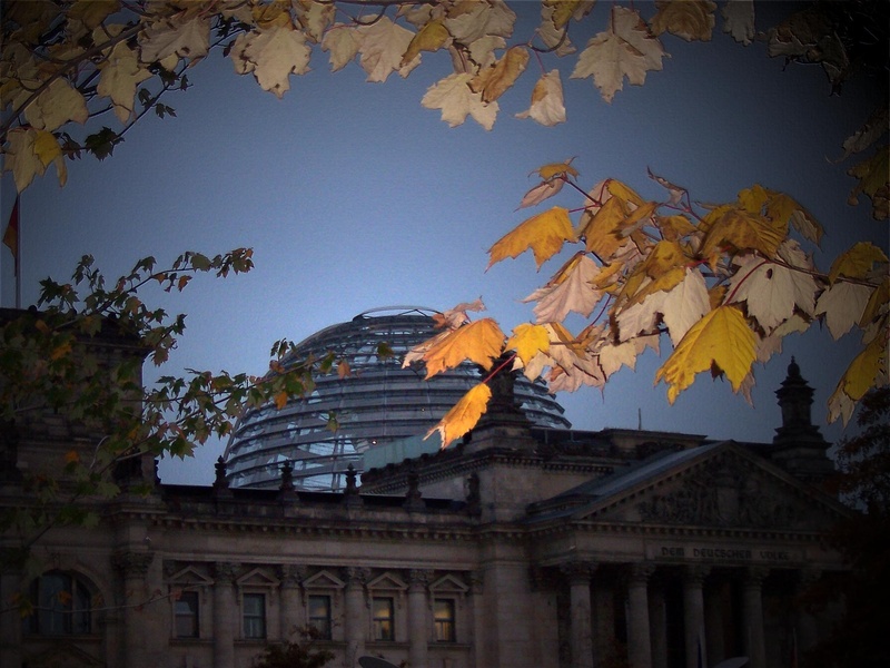 plant, blue, leaf, bundestag, glass dome, travel destinations, sky, house facade, government, dome, evening, the past, fall foliage, change, building exterior