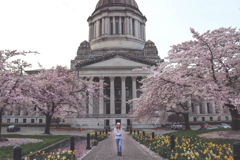 pathway, building, cherry blossom, plant, lifestyles, standing, state, built structure, woman, capital, men, travel destinations, young, growth, real people