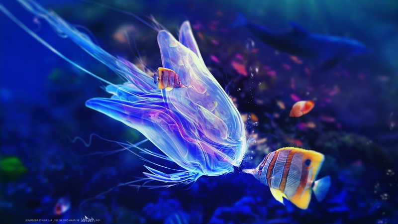 1080P, sea, fantasy Art, underwater, bubbles, Adam Spizak, digital art, fish