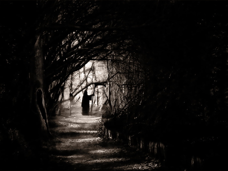 forest, tranquil scene, nature, full length, silhouette, one person, transportation, 720P, walking, treelined, Grim Reaper, Dark, direction, the way forward