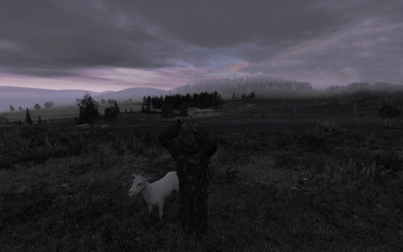 scenics - nature, white, beauty in nature, landscape, outdoors, Arma II, no people, animal, DayZ, nature, field, mammal, screen shot, one animal, domestic animals