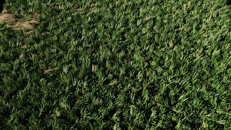 plant, high angle view, growth, abundance, tranquility, foliage, day, lush foliage, grass, textured, green, no people, 720P, field, nature, green color