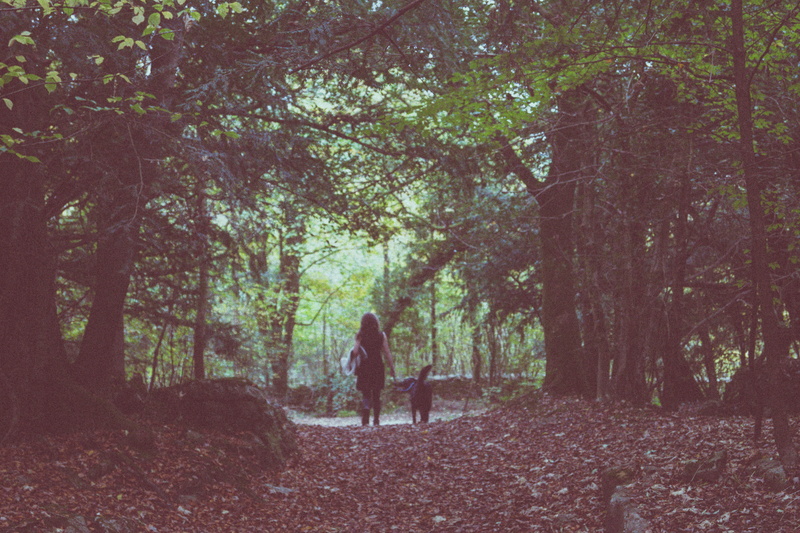 men, united kingdom, rear view, change, woodland, beetham, tree, women, land, people, plant, adult, forest, tranquility, lifestyles, day, outdoors, nature
