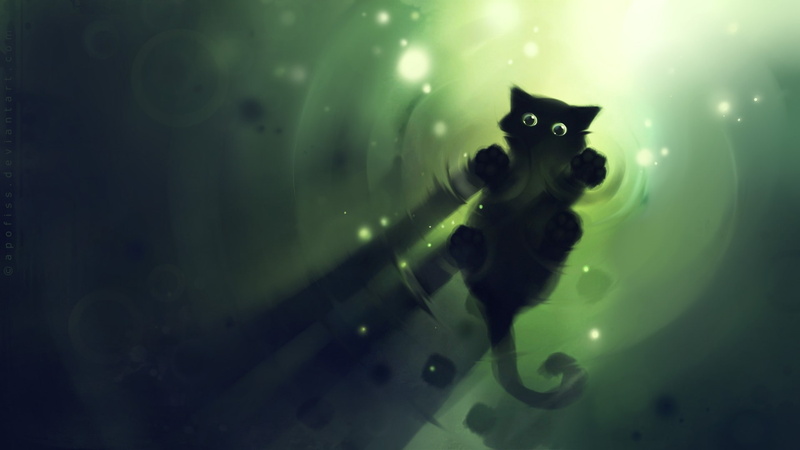 kitten, water, green, lights, apofiss, 1080P, shadow
