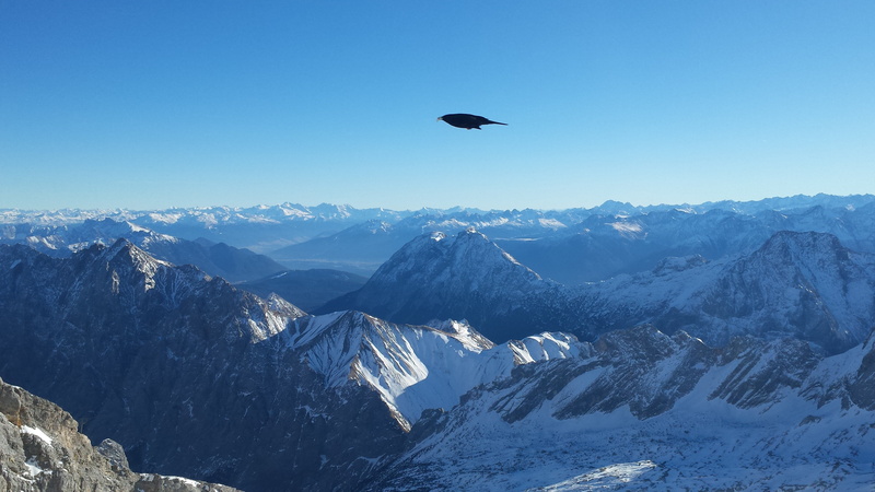 x, scenics - nature, mountain, cold temperature, animal themes, environment, outdoors, clear sky, animal wildlife, nature, art, px, 4128x2322 px, 4K, snowcapped mountain
