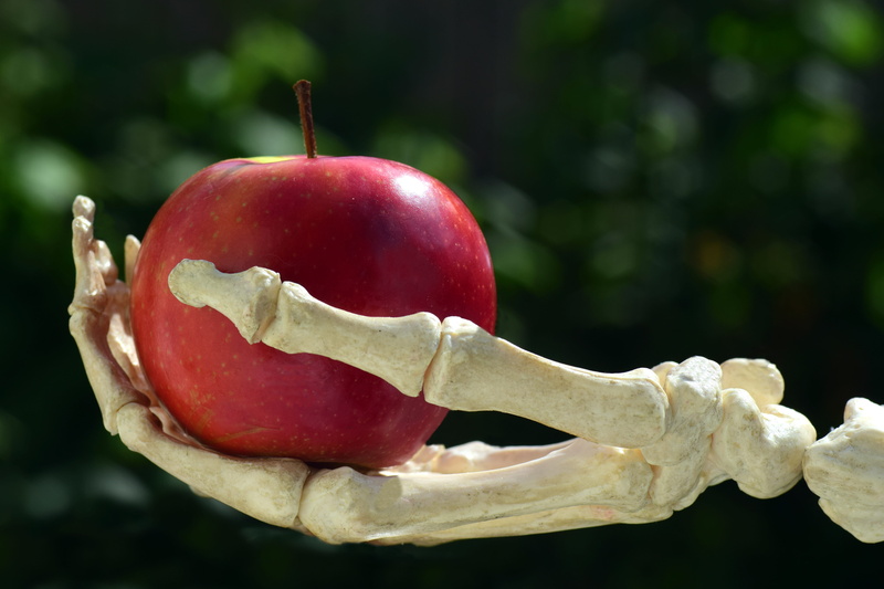 offer, toxic apple, skeleton, healthy eating, seduction, pesticidal, toxic gift, gift, fairy tales, apple, holding, art and craft, vegetable, single object