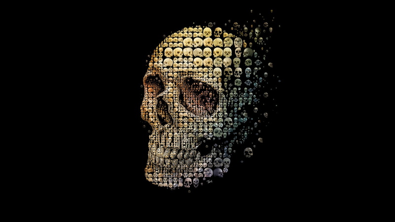 indoors, cut out, animal wildlife, reptile, style, close-up, pattern, background, vertebrate, skull, portrait, night, animals in the wild, copy space, sake