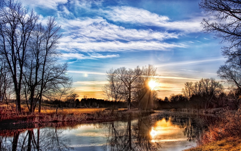 near, 1080P, scenics - nature, water, no people, cloud - sky, painting, non-urban scene, plant, lake, body, nature, sunlight, brown, tranquil scene, orange color