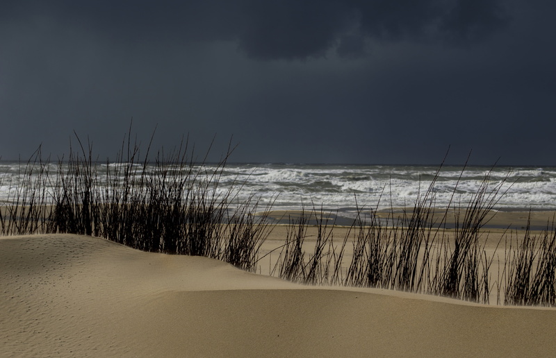 van de Velde, storm, pvdv, Zee, Loma, Zand, Nikon, Water, sand, P.D., outdoor, Dutch, De Cocksdorp, photograph, picture, nature photographer, Pada, coast