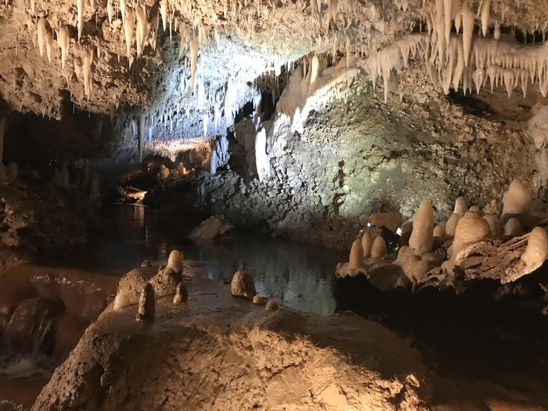 caves, harrisons cave barbados island, rock formation, water, tranquility, harrisons cave, nature, non-urban scene, geology, physical geography, no people