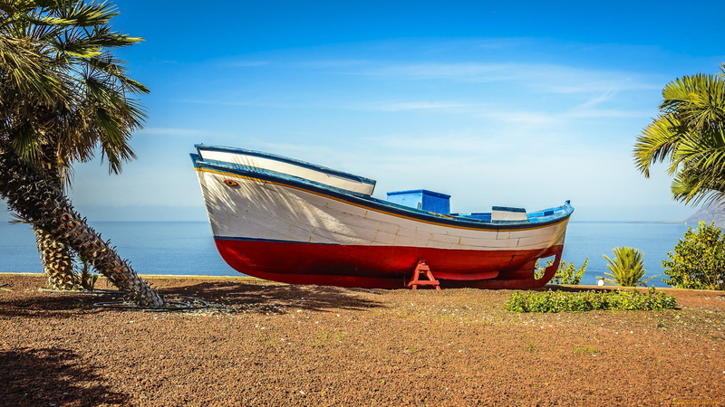 sea, palm trees, tranquility, rowboat, day, tranquil scene, anchored, no people, land, moored, nature, boat, beach, plant, 1080P, nautical vessel, outdoors