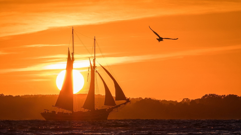 no people, scenics - nature, sky, lens flare, nautical vessel, calm, nature, bird, ketch, wind, mast, afterglow, flying, sailboat, masted, sun, sea, 1080P