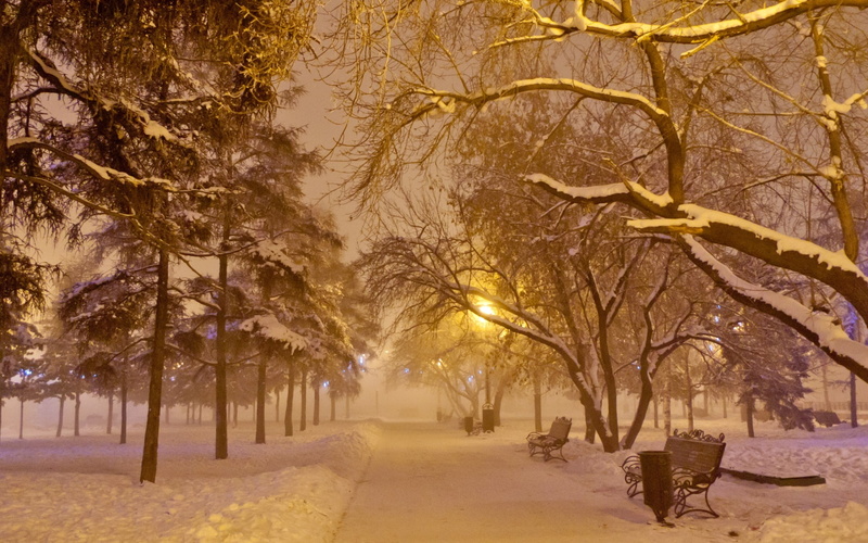 hd, trees, bench, 1080P, park, winter, snow, nature
