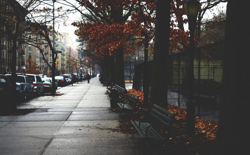 Seasons, Hamilton Heights, Autumn, leafed, Neighborhood, cold, York, nature, the way forward, sidewalk, newyork, harlem, nikon, Manhattan, architecture
