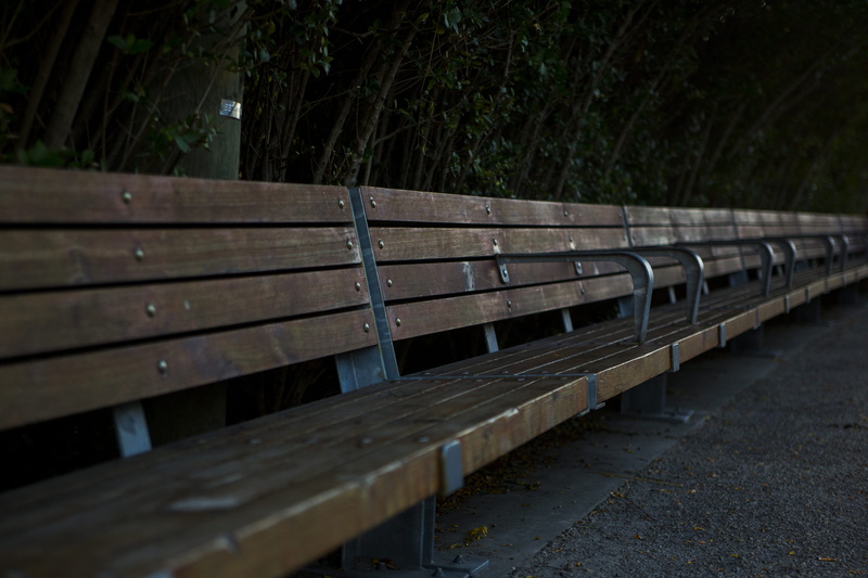 chair, plant, focus on foreground, united states, day, selective focus, in a row, forest, newyork, footpath, absence, no people, repetition, wood - material