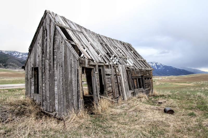 history, exterior, green, sky, building exterior, aged, day, abandoned, weathered, plant, run-down, shack, home, agricultural building, old farm house