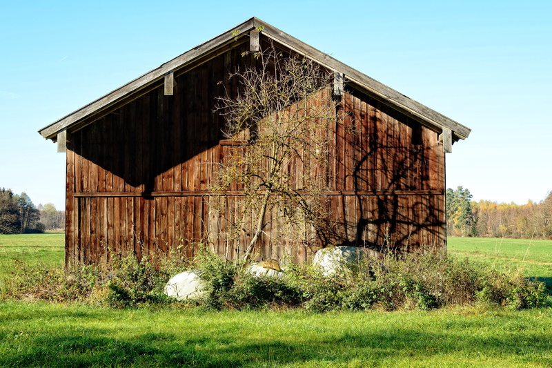 sky, wooden boards, wall boards, non-Urban Scene, nature, tree, agricultural building, boards, Log Cabin, no People, built Structure, Hut, Wood, Scale