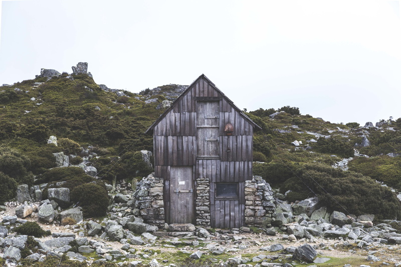 plant, history, rock, panels, rocks, lush, beside, house, shed, the past, clear sky, brown, leafed, built structure, home, front, abandoned, tree, residential