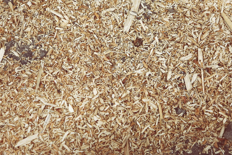 agriculture, still life, shredded wood, abundance, wood chips, shavings, mulch, close-up, sawdust, leaves, outdoors, full frame, texture, snippets, day