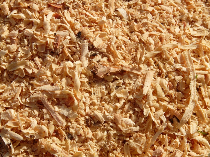 saw, shredded, freshness, brown, snack, macro, logging, close-up, healthy eating, sawdust, growing stock, shavings, close, backgrounds, timber, woods, abundance