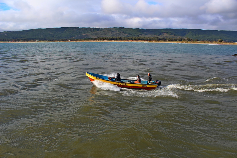 wind, people, vacation, nautical vessel, travel, symbol, trip, transport, cruise, holiday, boat, nature, transportation, wave, shipping, adventure, scenics - nature