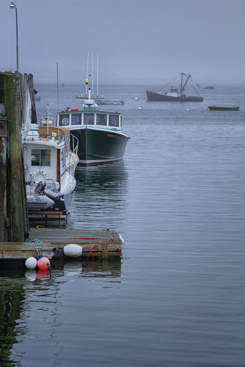 sailboat, tourism, beauty in nature, inflatable, trip, harbor, moored, no people, journey, maine, vacation, floating on water, boating, ocean, navigation