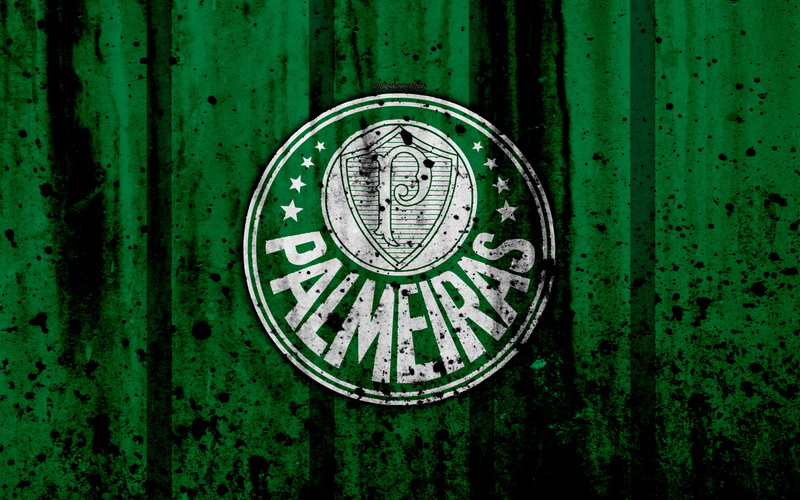 Logo, 4K, Sociedade Esportiva Palmeiras, Soccer
