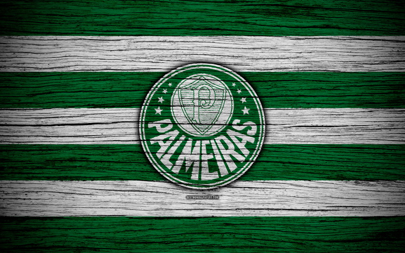 Soccer, Logo, Sociedade Esportiva Palmeiras, 4K