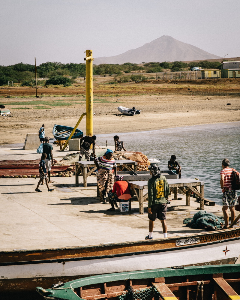tropical, fishing, travel, men, palmeira, land, models, mountain, incidental people, color, scale, 4K, lifestyles, verde, assorted, day, group of people