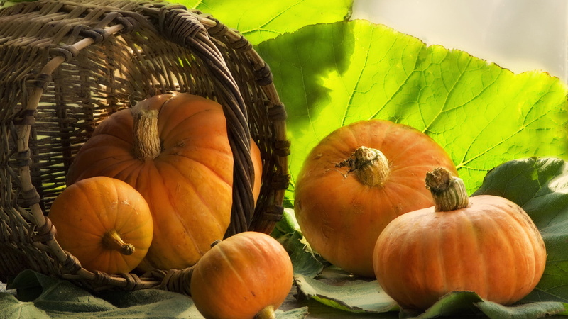 produce, autumn, holiday, healthy eating, green color, yellow, food and drink, fruit, squash, season, still life, gourd, freshness, stem, seasonal, halloween